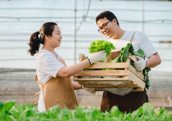 Thiết kế chưa có tên